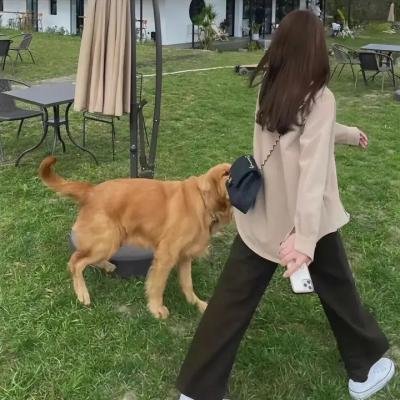 跳吧,女孩